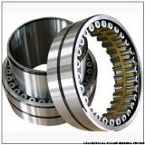 NNU4964MAW33 NNU4156MAW33 CYLINDRICAL ROLLER BEARINGS TWO-Row