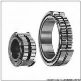 NNU40/500MAW33 NNU40/500MAW33 CYLINDRICAL ROLLER BEARINGS TWO-Row