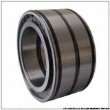 NNU4968MAW33 NNU4964MAW33 CYLINDRICAL ROLLER BEARINGS TWO-Row