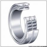 100TDI165-1 140TDI310-1 Double outer double row bearings